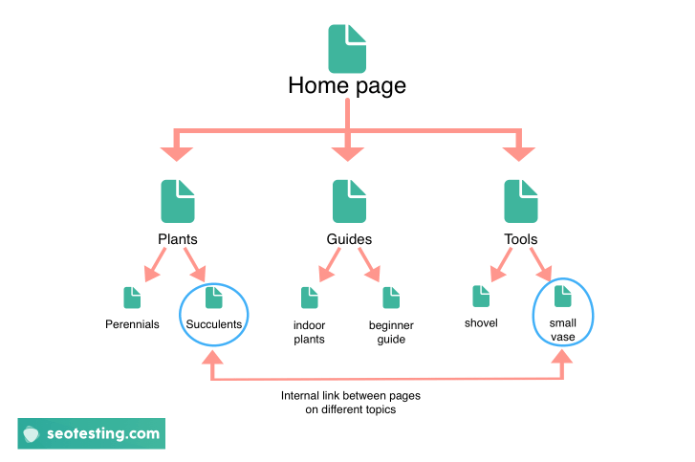 Diagram showing internal linking structure from a homepage to category pages like Plants, Guides, and Tools, with further links to subpages such as Succulents and Small Vase. Arrows indicate internal links between different topic pages, illustrating effective internal linking